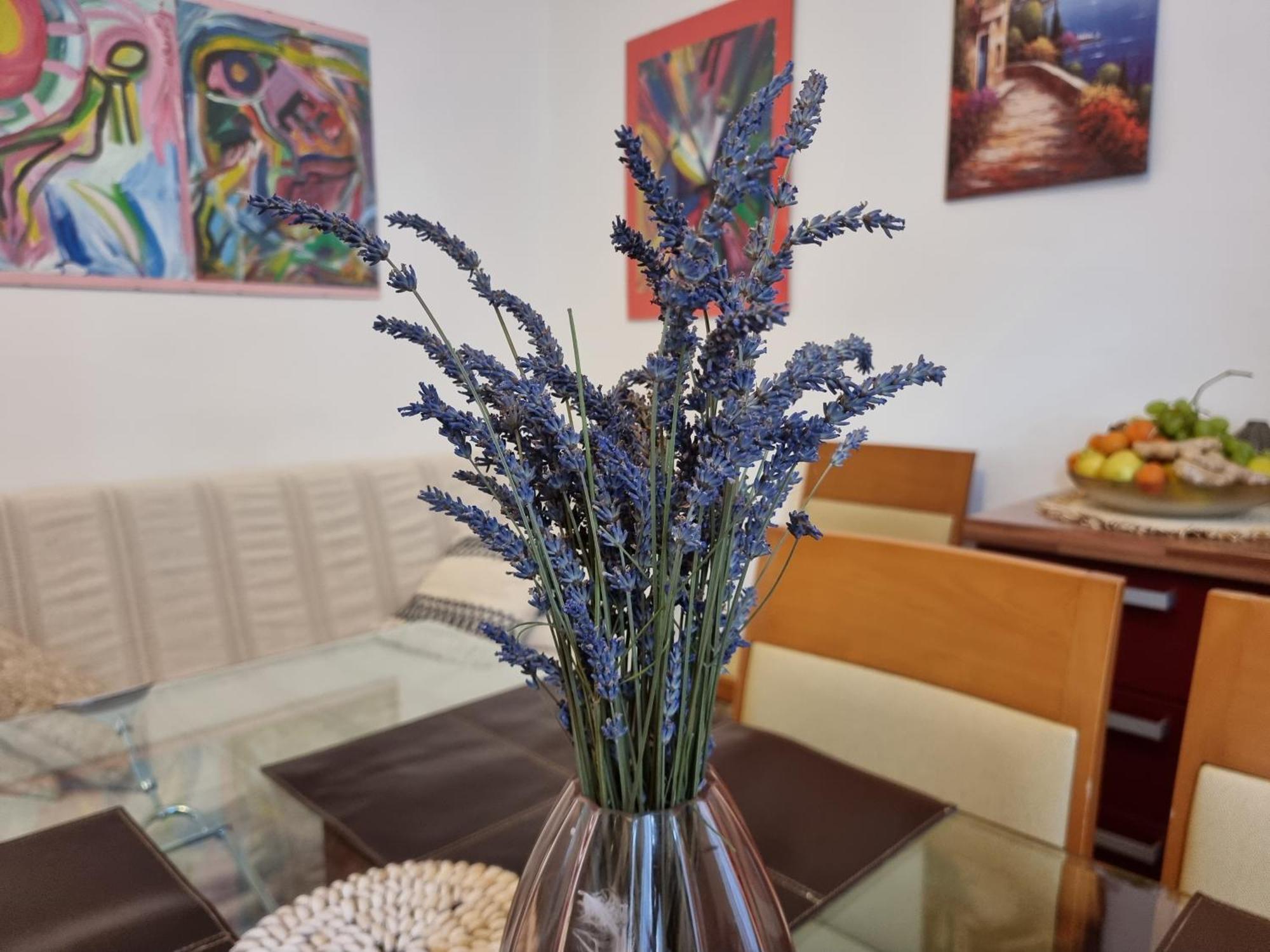 ***Apartment Magic &Summervibes*** Rijeka Ngoại thất bức ảnh