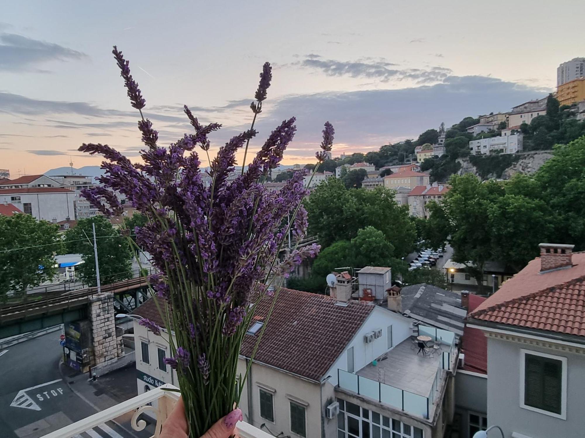 ***Apartment Magic &Summervibes*** Rijeka Ngoại thất bức ảnh