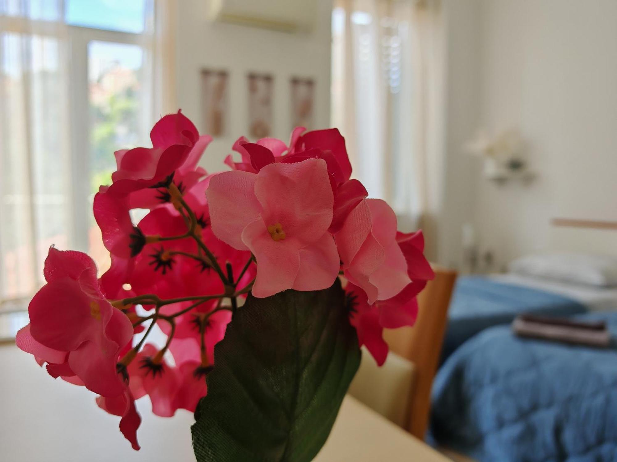 ***Apartment Magic &Summervibes*** Rijeka Ngoại thất bức ảnh