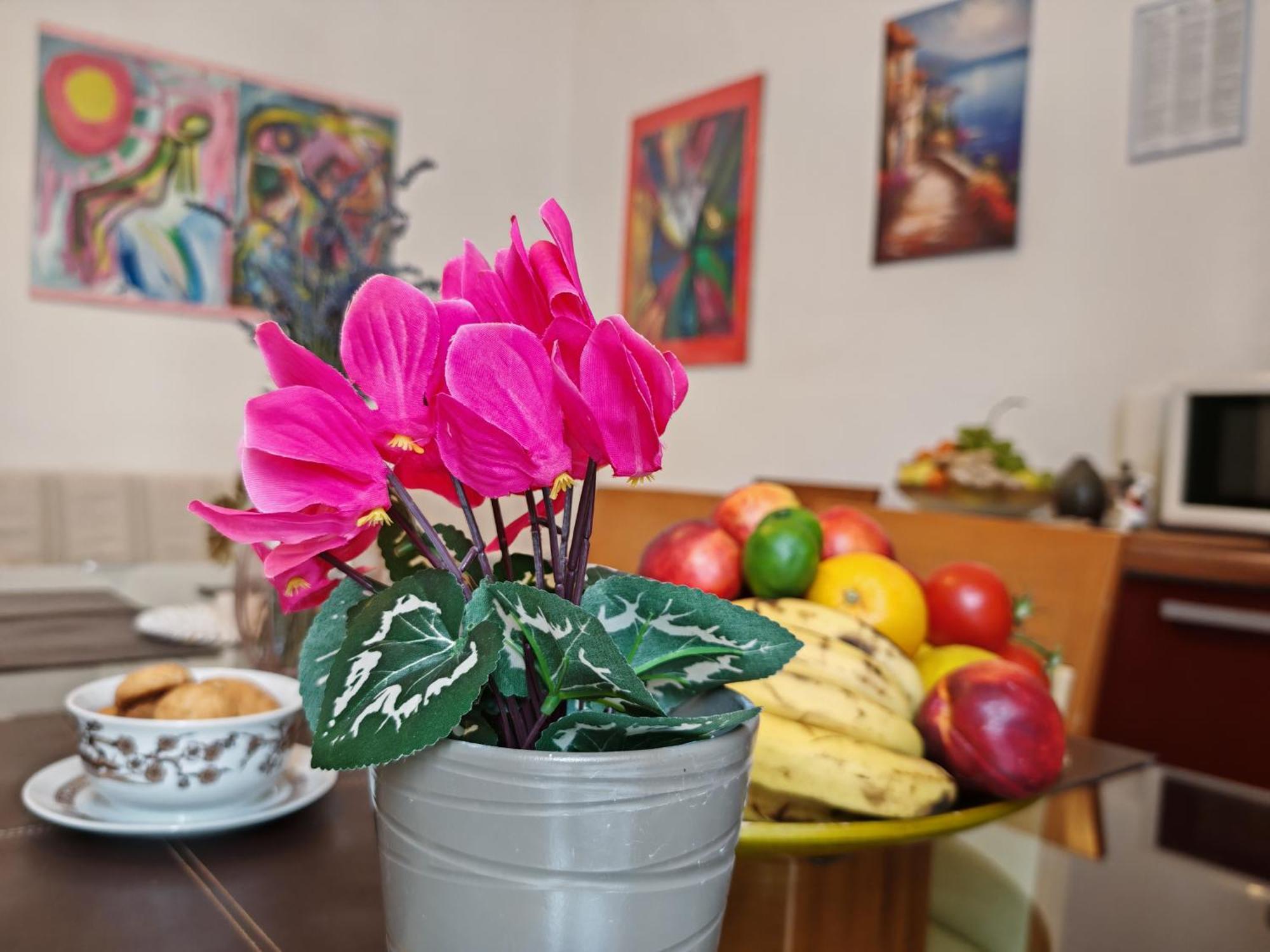 ***Apartment Magic &Summervibes*** Rijeka Ngoại thất bức ảnh