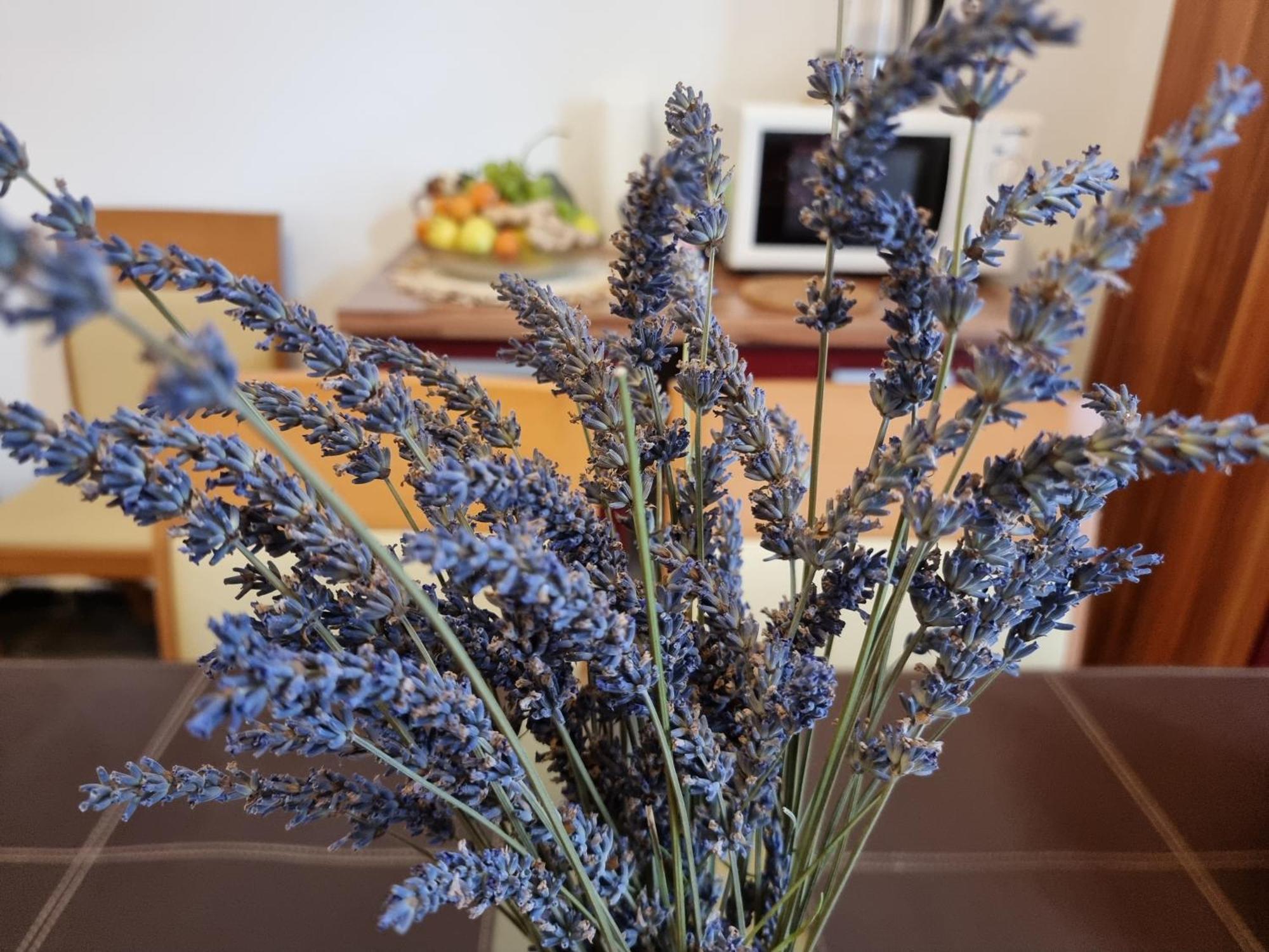 ***Apartment Magic &Summervibes*** Rijeka Ngoại thất bức ảnh